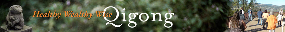 Healthy Wealthy Wise Qigong